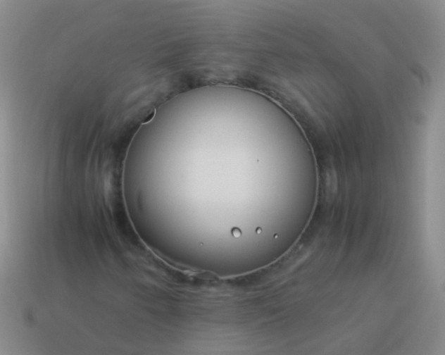 X0000114011250200910161725