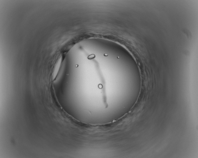 X0000114011253200910161725