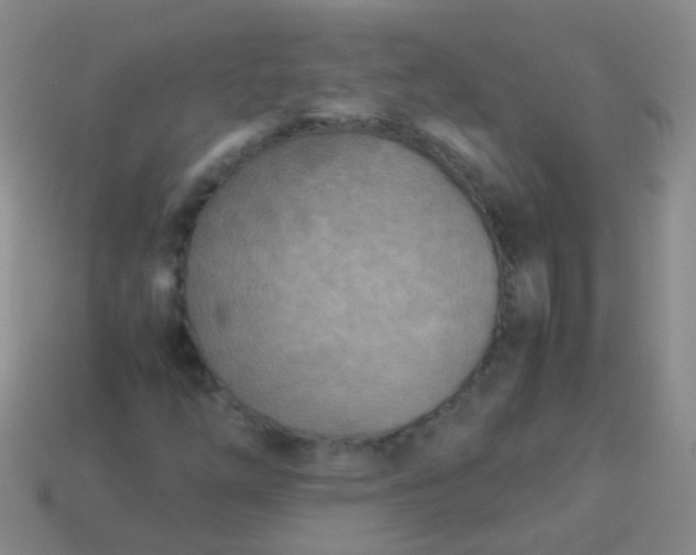 X0000114011254200910161725