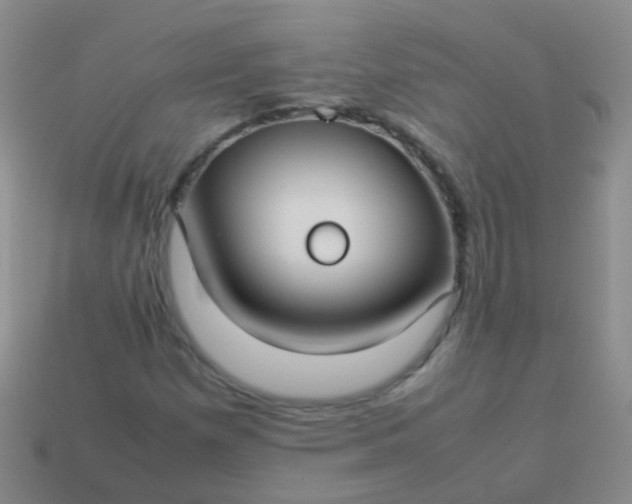 X0000114011257200910161724