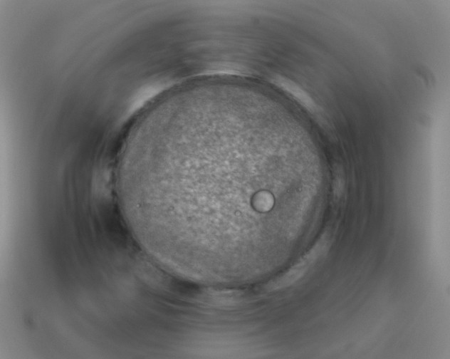 X0000114011258200910161724