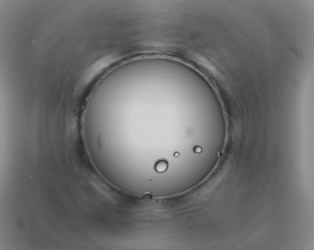 X0000114011259200910161724