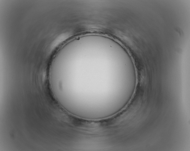 X0000114011261200910161724