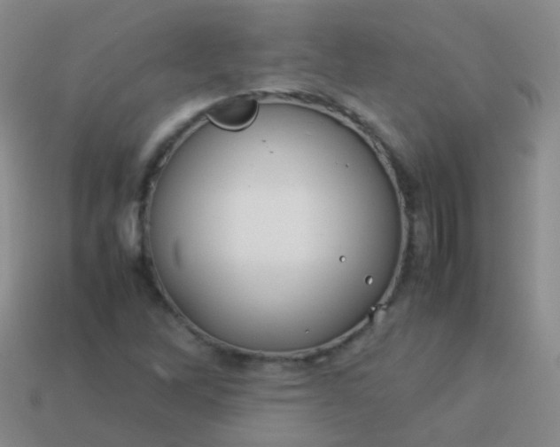 X0000114011262200910161724