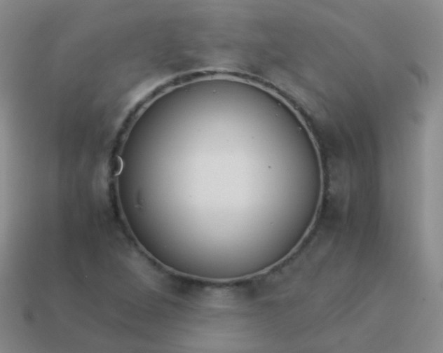 X0000114011264200910161724