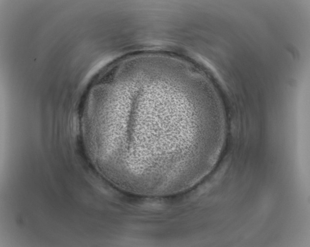 X0000114011267200910161724