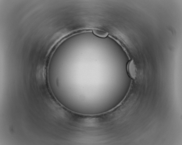 X0000114011268200910161724