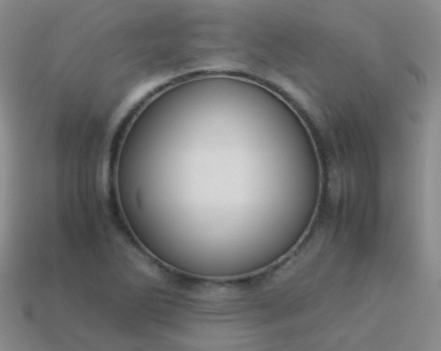 X0000114011270200910161724