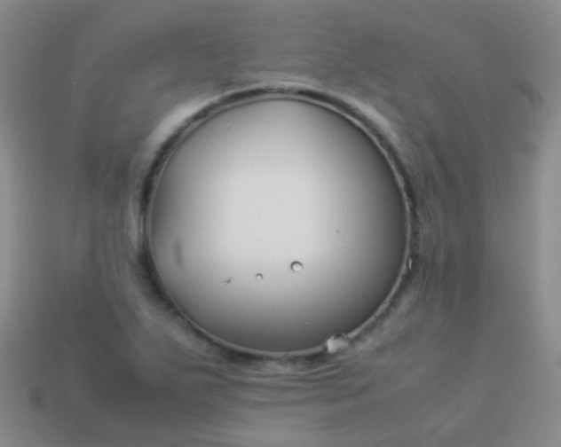 X0000114011271200910161724