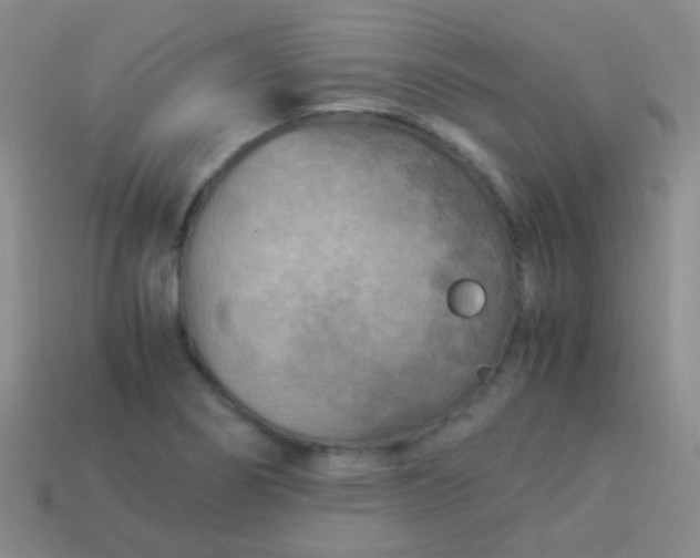 X0000114011274200910161724