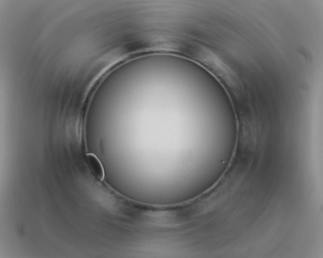 X0000114011276200910161724