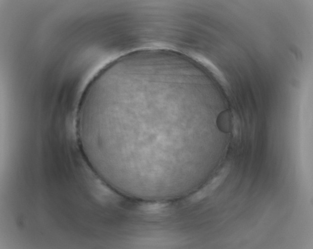 X0000114011278200910161724