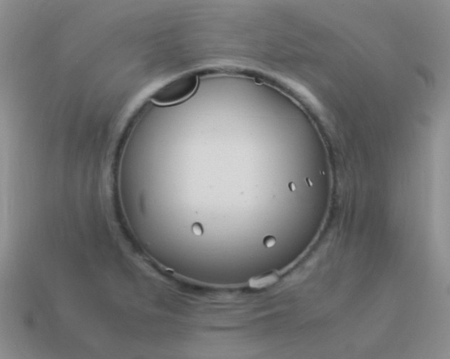 X0000114011279200910161724