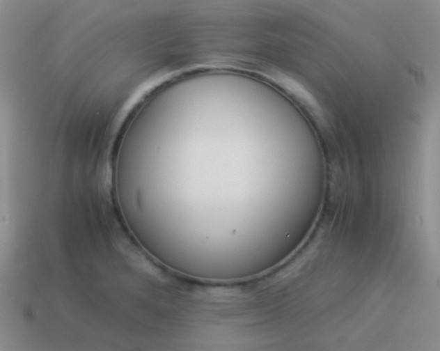 X0000114011280200910161724