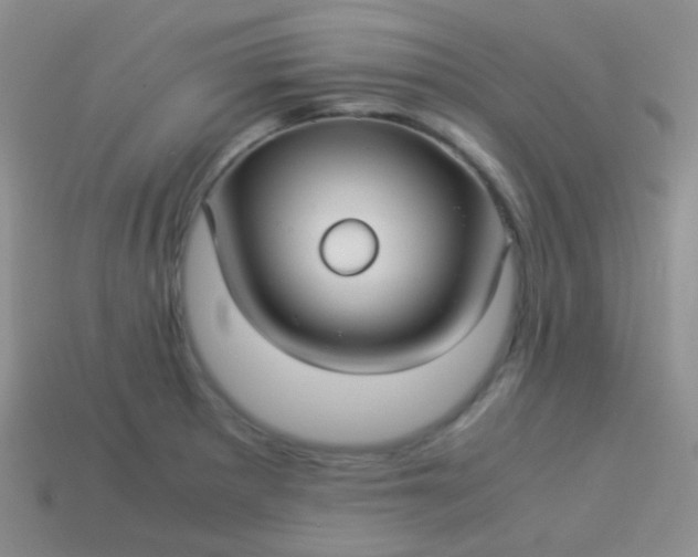 X0000114011281200910161724