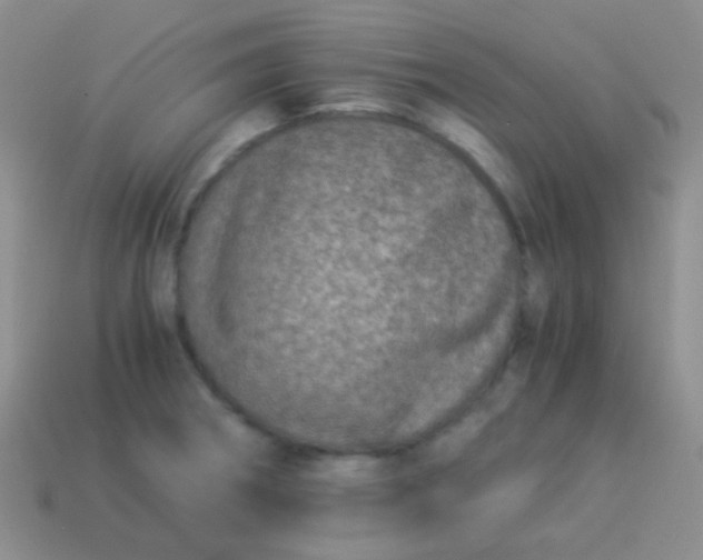 X0000114011282200910161724