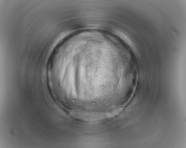 X0000114011283200910161724