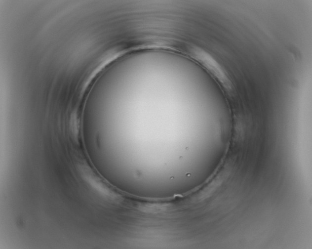 X0000114011284200910161724