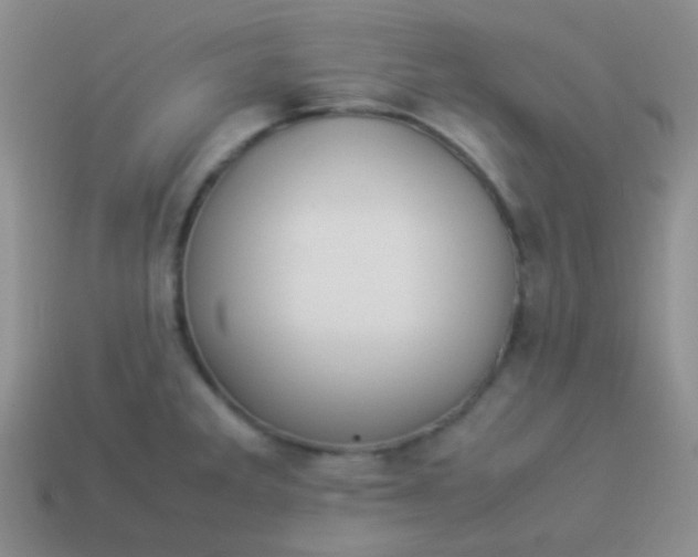 X0000114011285200910161724