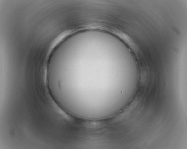 X0000114011286200910161724