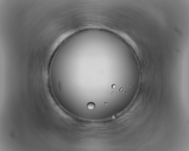 X0000114011287200910161724