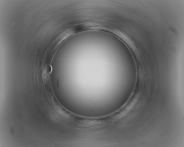 X0000114011289200910161724