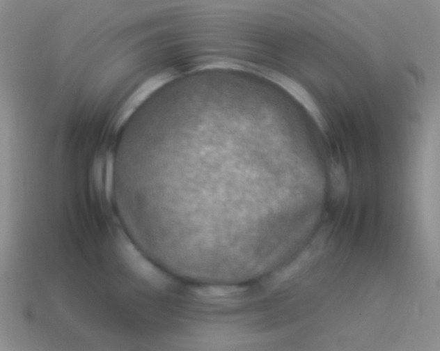 X0000114011290200910161724