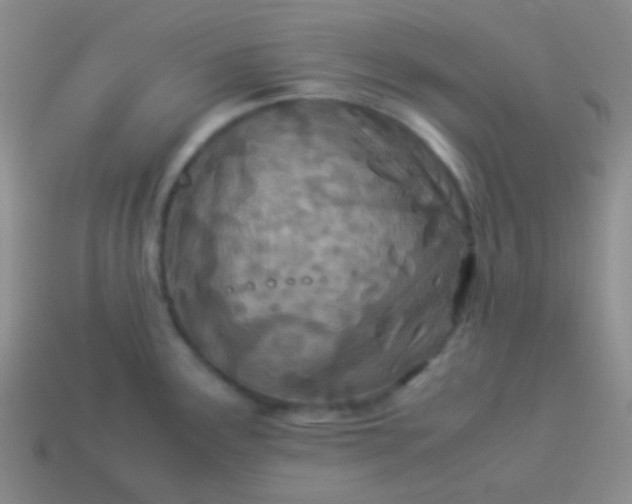 X0000114011291200910161724