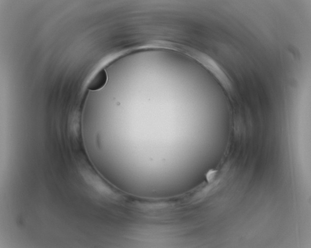 X0000114011292200910161724