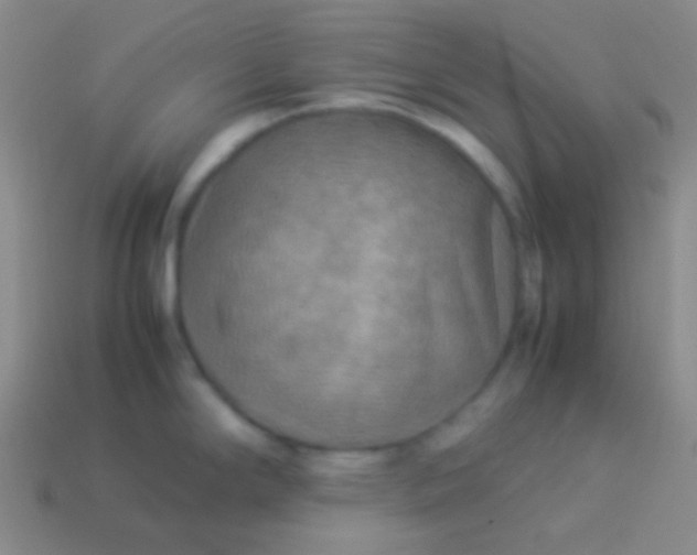 X0000114011294200910161724