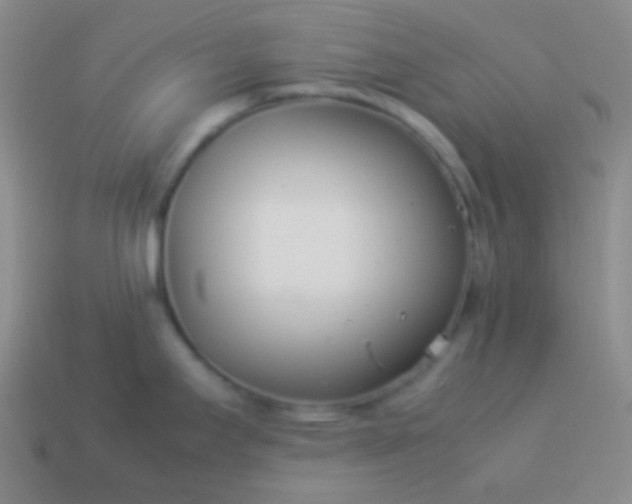 X0000114011295200910161724