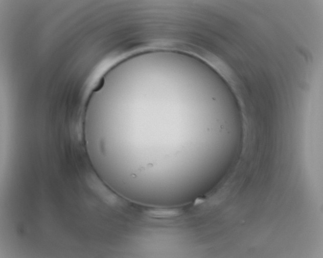 X0000114011296200910161724