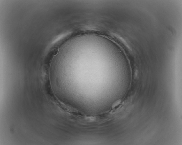 X0000114011303200910161723