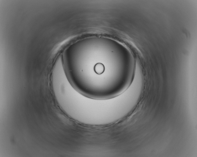 X0000114011304200910161723