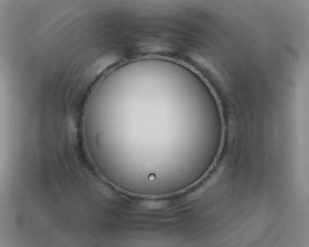 X0000114011305200910161723