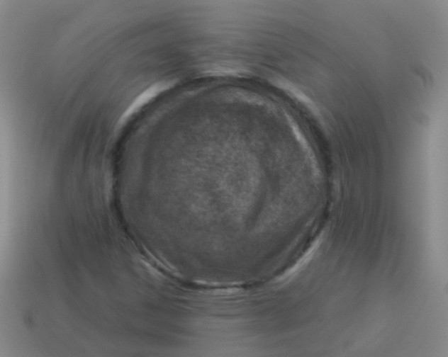 X0000114011306200910161723