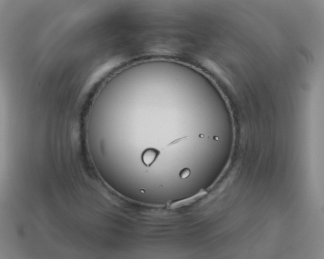 X0000114011307200910161723