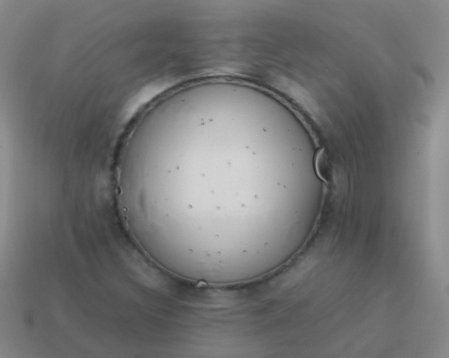 X0000114011308200910161723