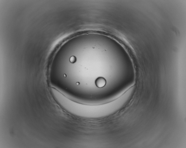 X0000114011312200910161723