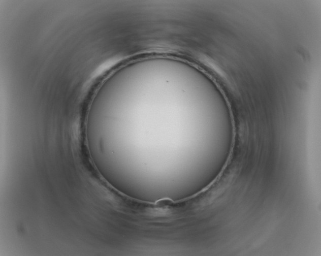 X0000114011315200910161723