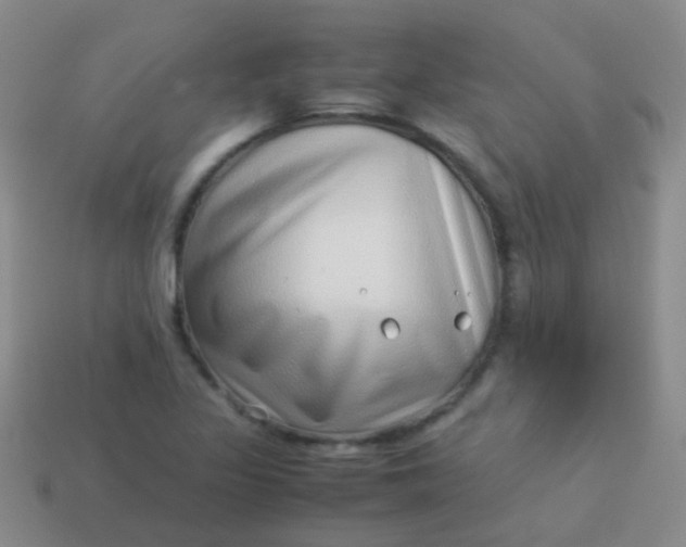 X0000114011317200910161723