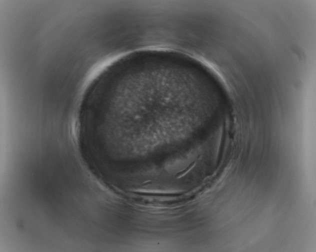 X0000114011319200910161724