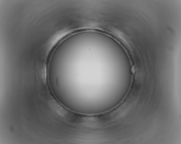 X0000114011320200910161724