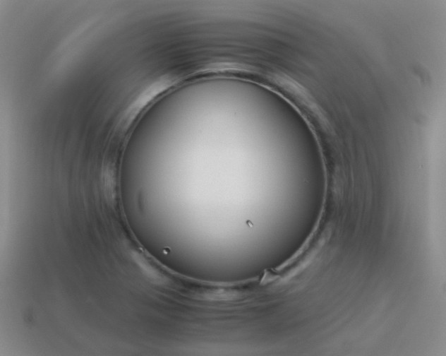 X0000114011321200910161724