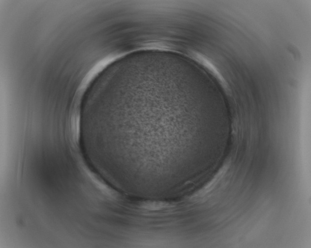 X0000114011323200910161724