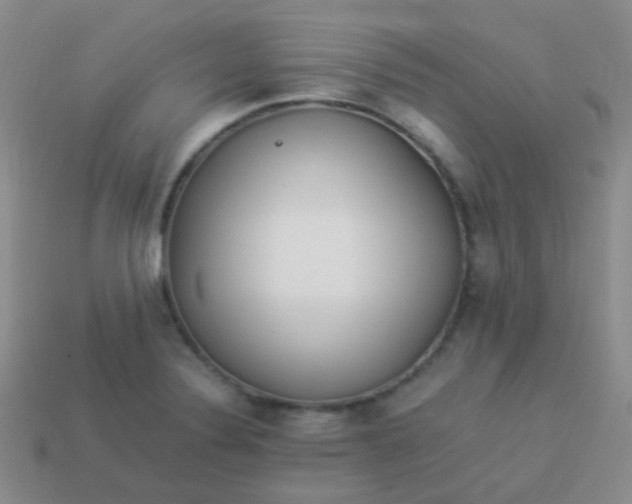 X0000114011324200910161724