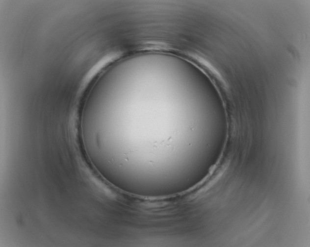 X0000114011325200910161724