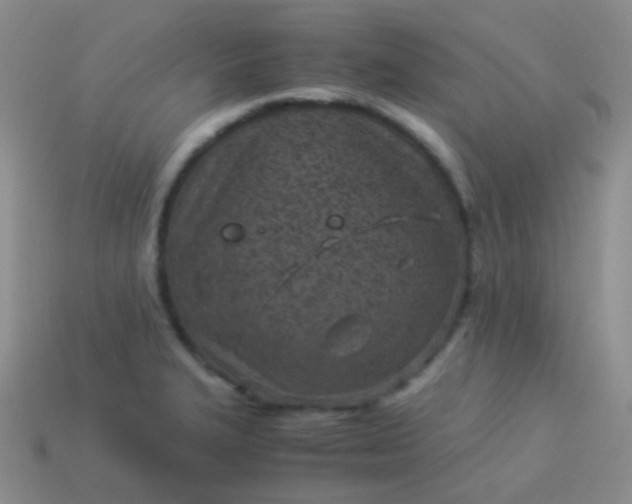 X0000114011327200910161724