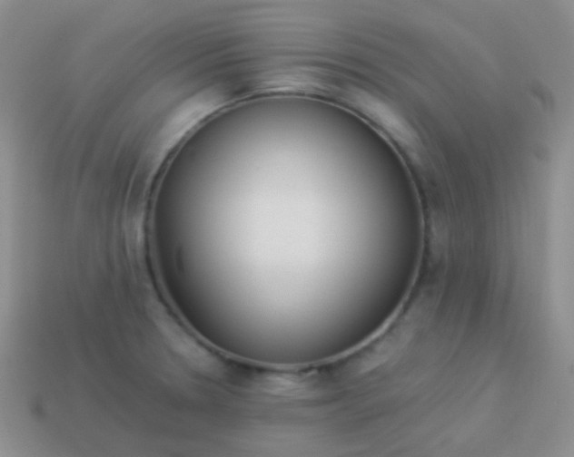 X0000114011330200910161724