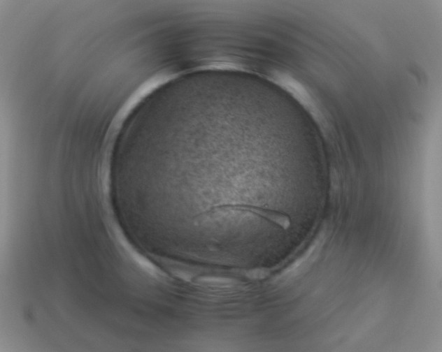 X0000114011331200910161724